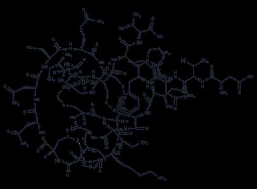 Hepcidin-1 (mouse)