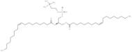 1,2-dioleoyl-sn-glycero-3-phosphocholine