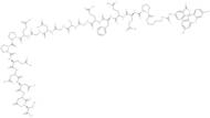 FITC-εAhx-HHV-2 Envelope Glycoprotein G (561-578)