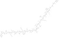 β-Endorphin (1-27) (human)