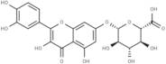 Quercetin 7-glucuronide