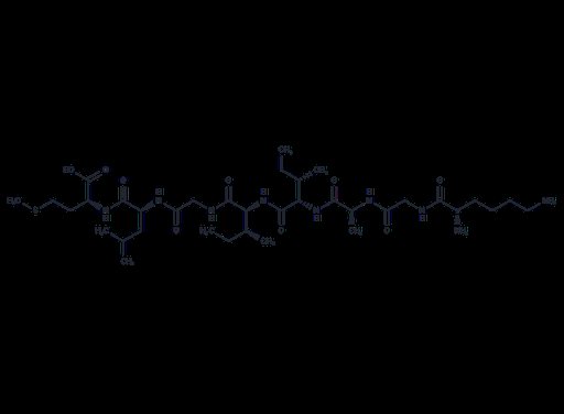 β Amyloid(28-35) human