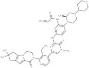 Rocbrutinib