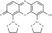 ReAsH-EDT2