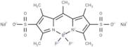 Pyrromethene 556