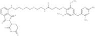 PROTAC eDHFR Degrader-1