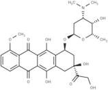 N,N-Dimethyldoxorubicin