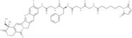 MC-GGFG-AM-(10NH2-11F-Camptothecin)