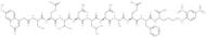 Mca-SEVNLDAEFK(Dnp)-NH2