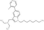 ICMT-IN-53