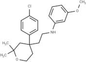 ICMT-IN-22