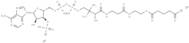 Glutaryl coenzyme A lithium