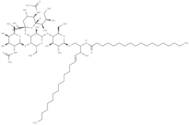 Ganglioside GM2