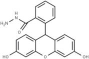 Fluorescein hydrazide