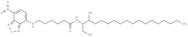 C6-NBD Sphinganine