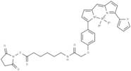 BODIPY TR-X