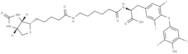 Biotin-hexanamide-(L-Thyroxine)