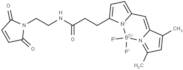 BDP FL maleimide