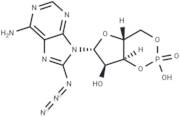 8-Azido-cAMP