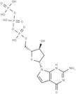 7-Deaza-2′-deoxyguanosine 5′-triphosphate