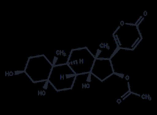 5β-Hydroxybufotalin
