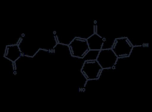 5-FAM maleimide