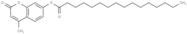 4-Methylumbelliferyl palmitate