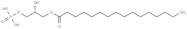 1-Palmitoyl-sn-glycerol 3-phosphate