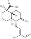 15-Nor-14-oxolabda-8(17),12E-Diene-18-oic acid