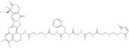 (1R)-Deruxtecan