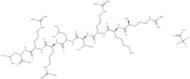 EGFR Peptide (human, mouse) TFA