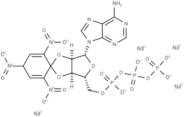 TNP-ATP sodium