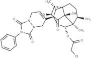 Ferroptocide