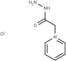 Girard's Reagent P