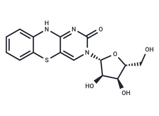 Tricyclic cytosine tC