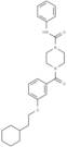 TM2 TEAD inhibitor