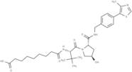 VH 032 amide-alkylC7-acid