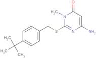 N-Me-aminopyrimidinone9