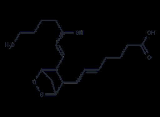 Prostaglandin H2