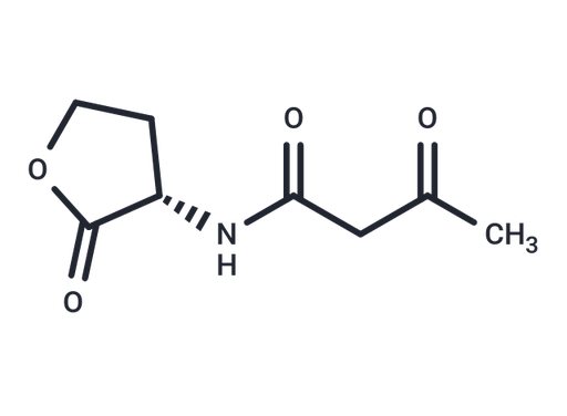 N-(3-Oxobutanoyl)-L-homoserine lactone