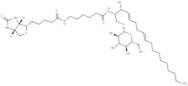 C6 Biotin Glucosylceramide (d18:1/6:0)