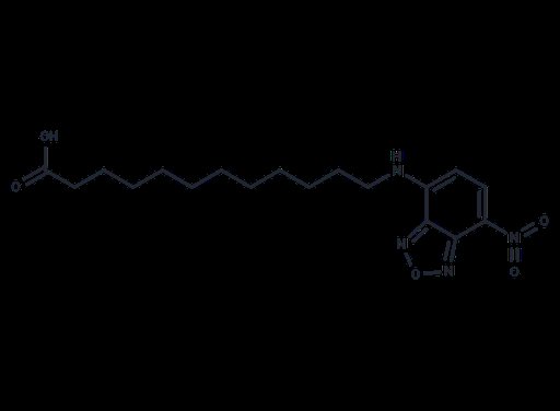 12-(7-Nitrobenzofurazan-4-ylamino)dodecanoic acid