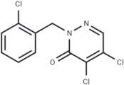 EcDsbB-IN-12