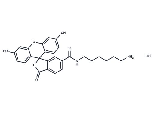 FAM amine, 6-isomer