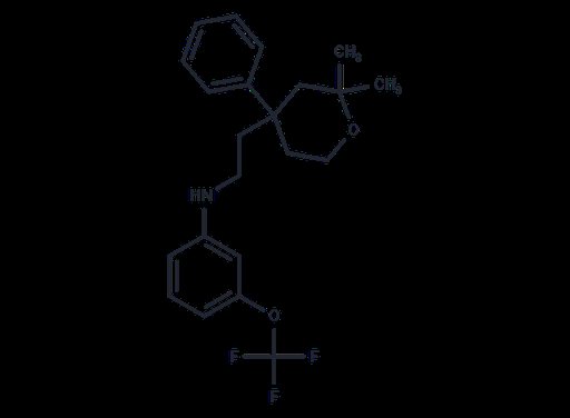 ICMT-IN-55