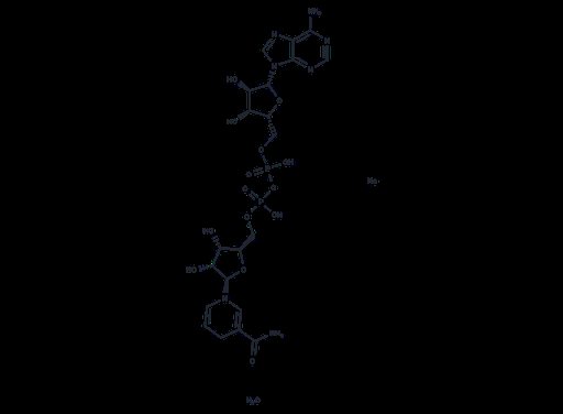NADH disodium hydrate