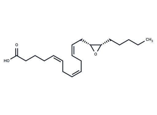 14R(15S)-EET