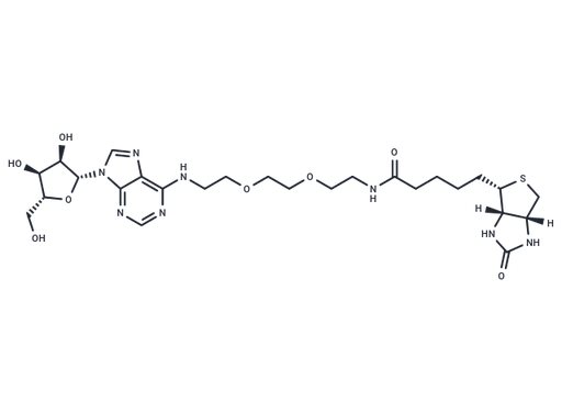 Adenosine 2'-PEG-Biotin