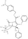 Proteinase K