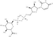 UDP-g acid